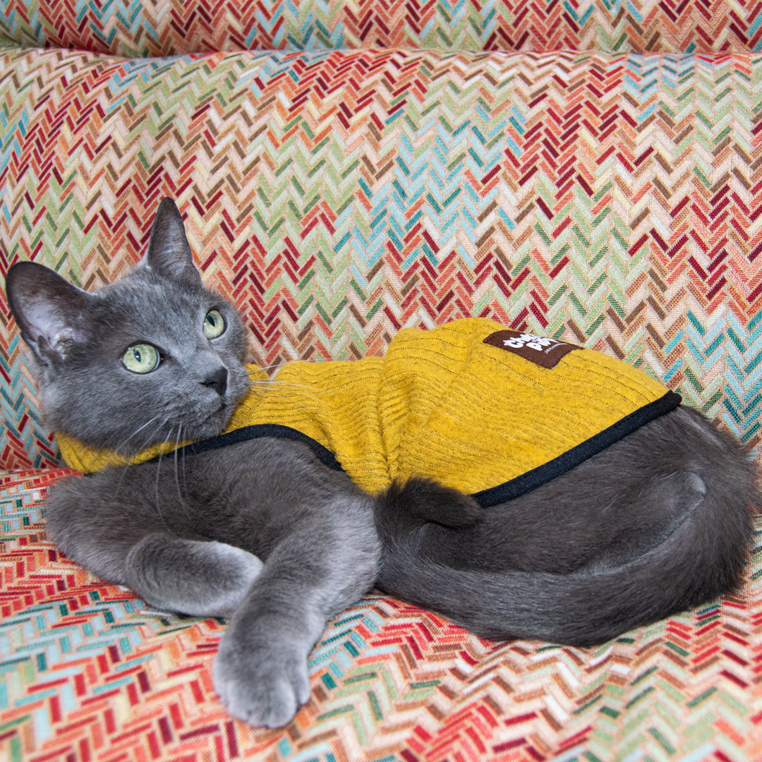 Chaleco-gato-gogo#color_amarillo