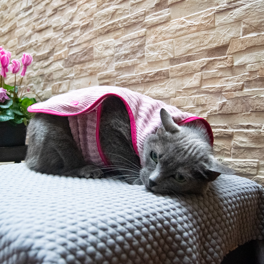 Chaleco-gato-michin#color_palo-de-rosa
