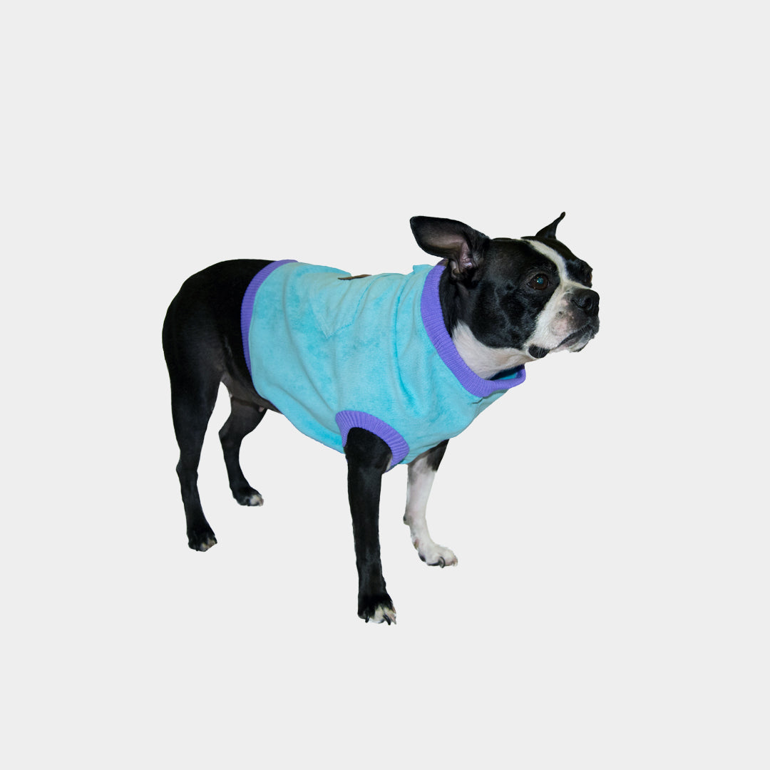 Chaleco-perro-pierre#color_azul