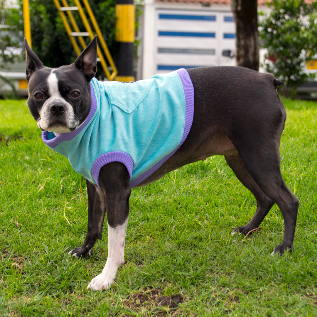 Chaleco-perro-pierre#color_azul