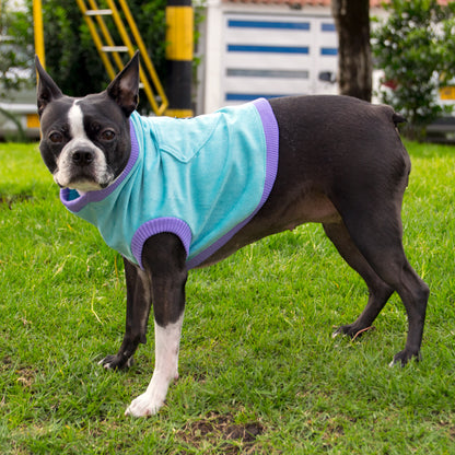 Chaleco-perro-pierre