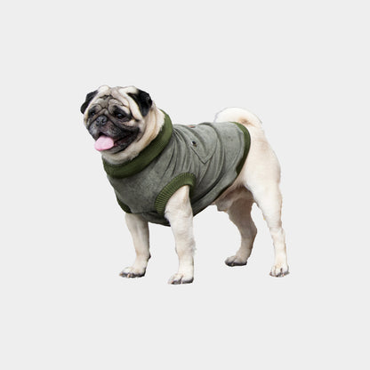Chaleco-perro-pierre