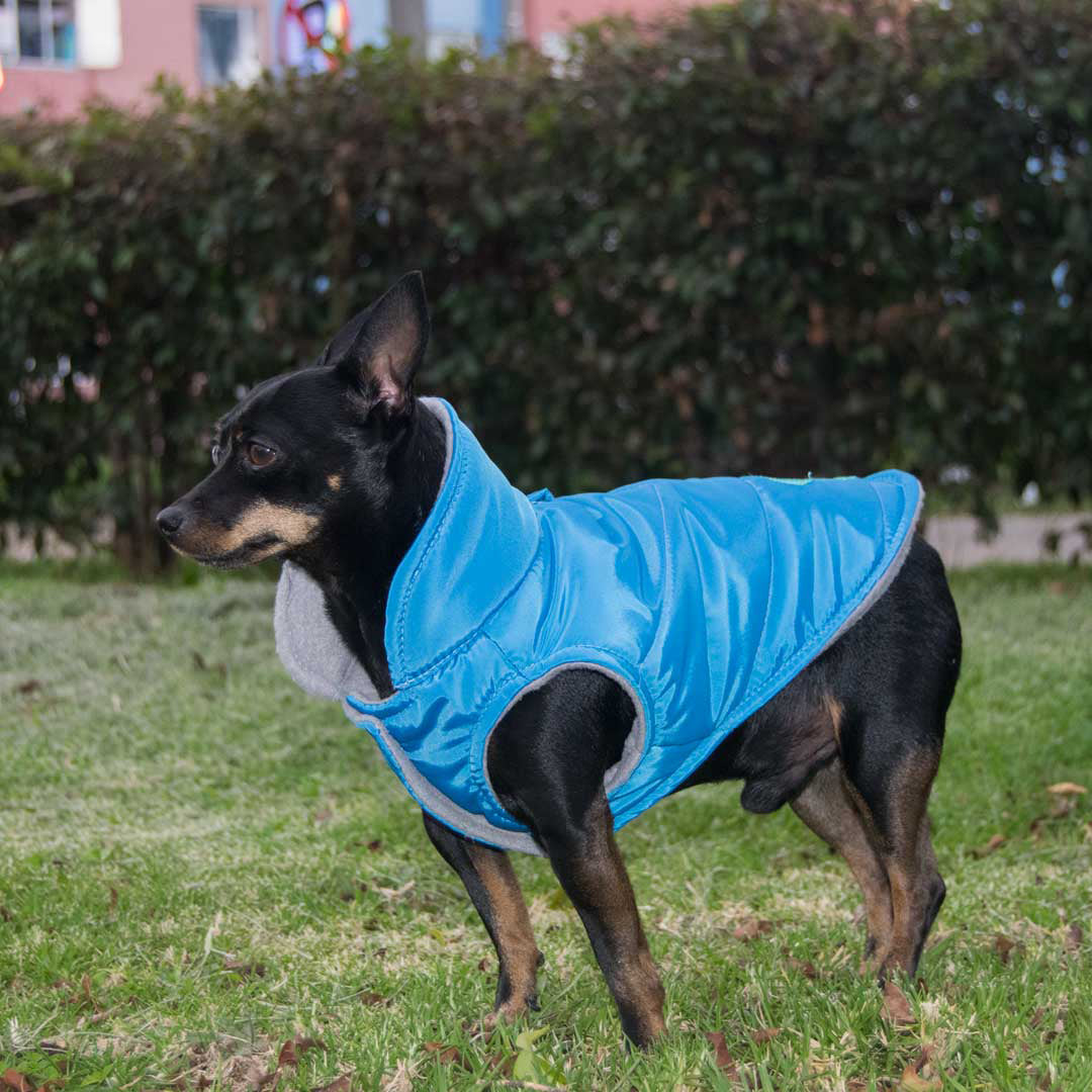 Chaleco-perro-woof3b#color_azul-celeste