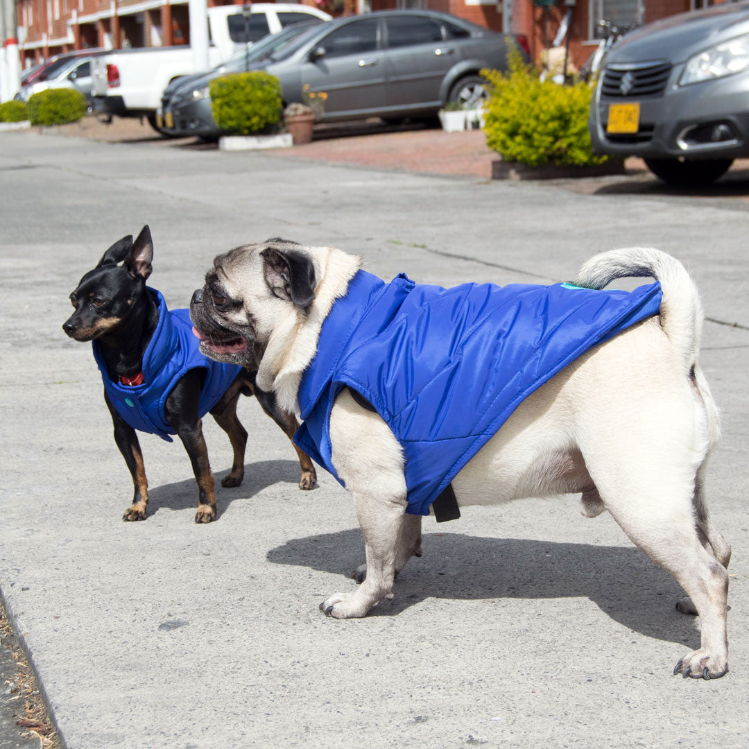 Chaleco-perro-woof3b#color_azul-rey