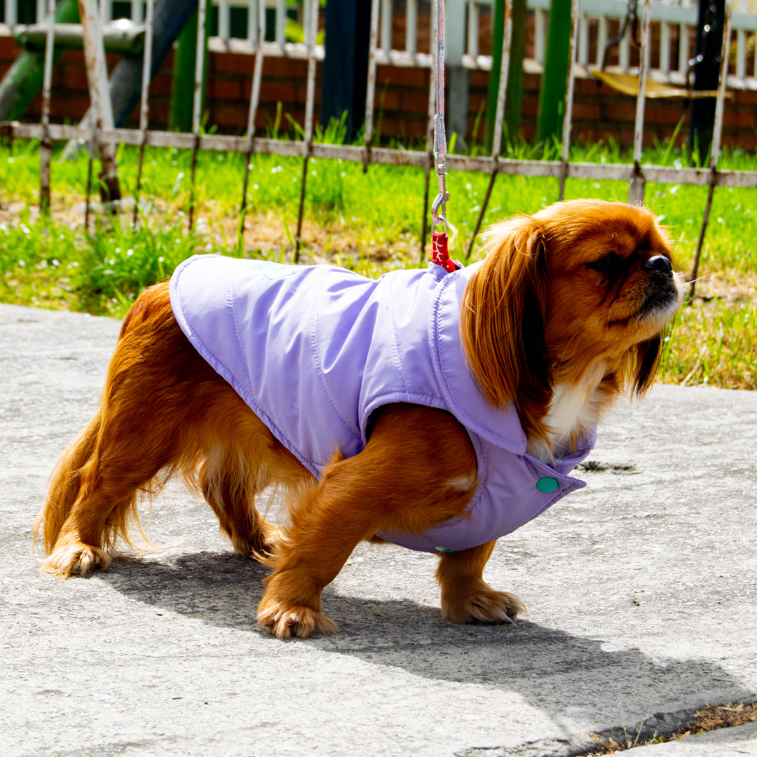 Chaleco-perro-woof3b#color_lila