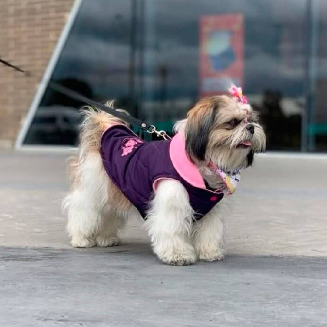 Chaleco-perro-woof3b#color_morado