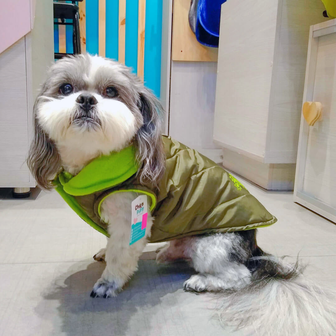 Chaleco-perro-woof3b#color_verde