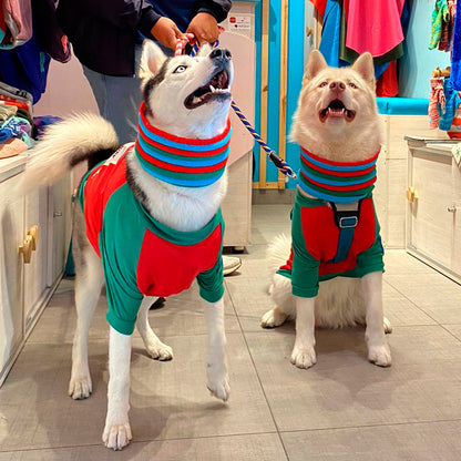 Cuello navideño perros