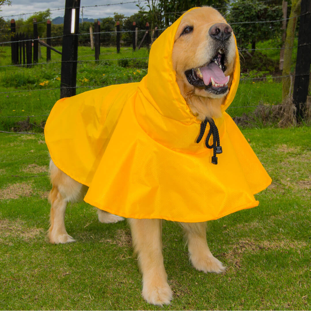 Impermeable-perro#color_amarillo