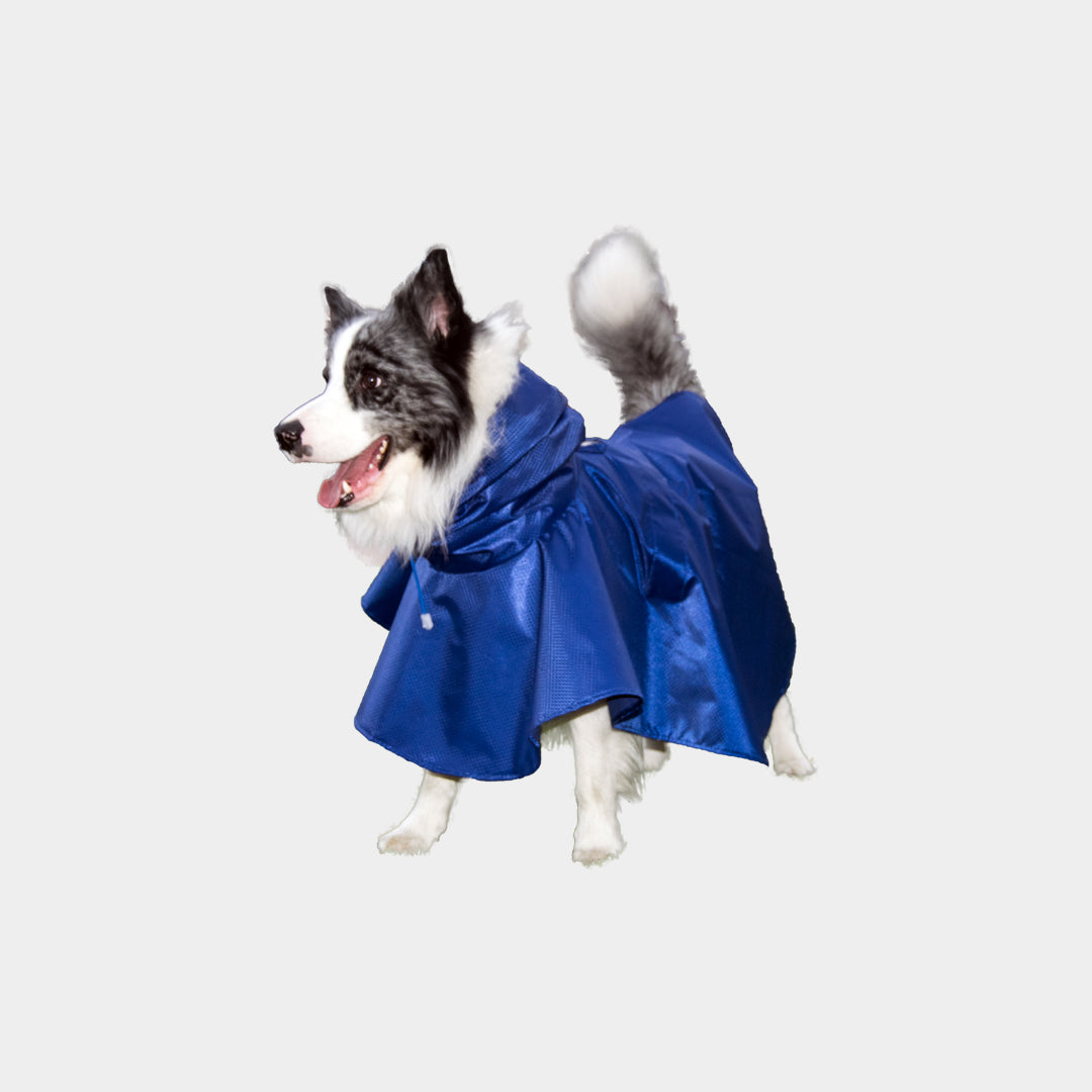 Impermeable-perro#color_azul-rey
