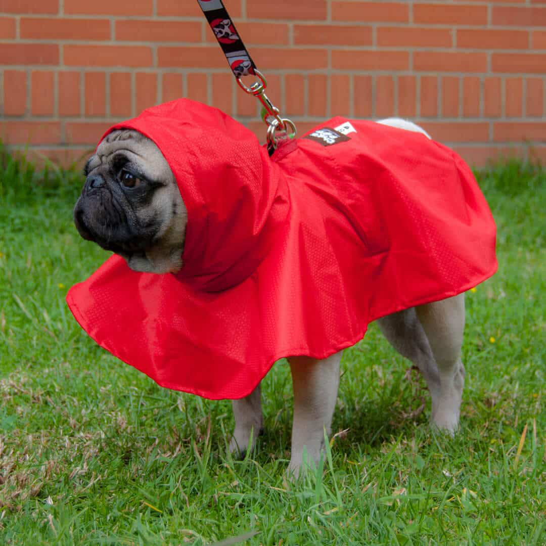 Impermeable-perro#color_rojo