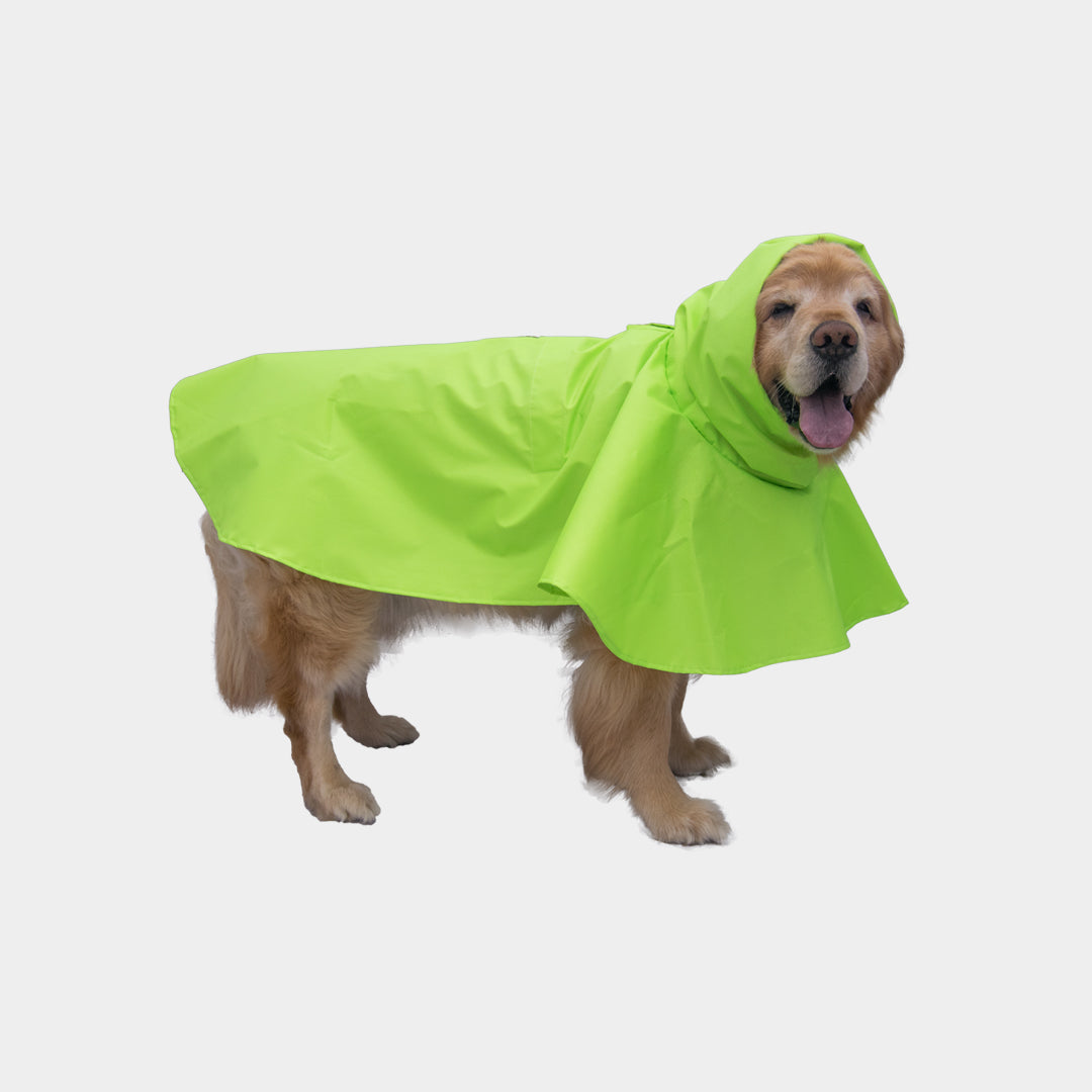 Impermeable-perro#color_verde-limon