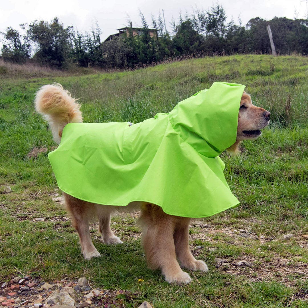 Impermeable-perro#color_verde-limon