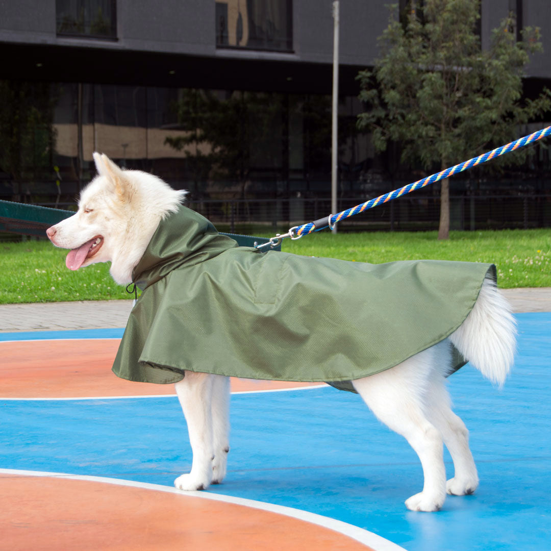 Impermeable-perro#color_verde-militar