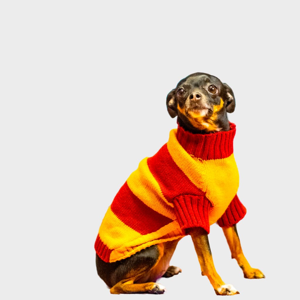 Saco-perros-T5#color_amarillo-y-rojo