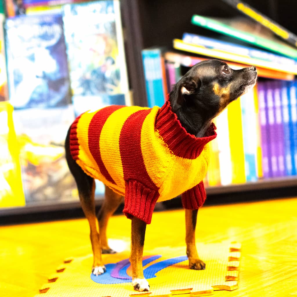 Saco-perros-T5#color_amarillo-y-rojo
