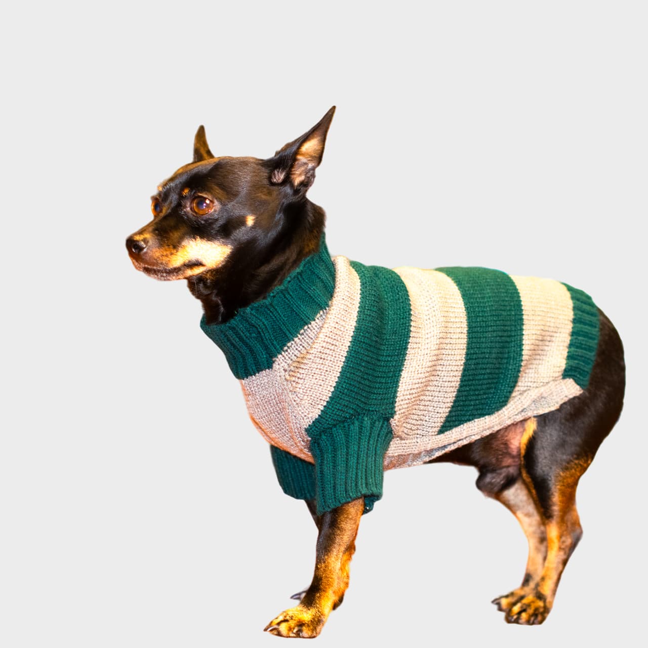 Saco-perros-T6#color_verde-y-gris