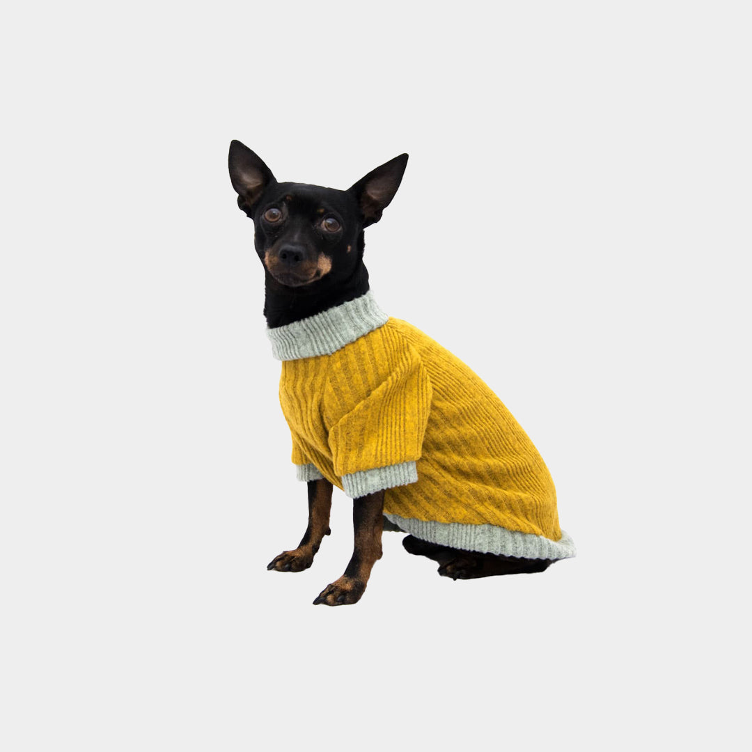 Saco-perros-pinky#color_amarillo