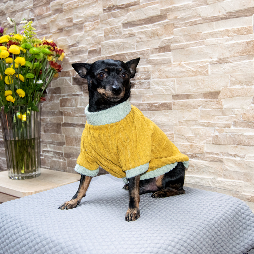 Saco-perros-pinky#color_amarillo