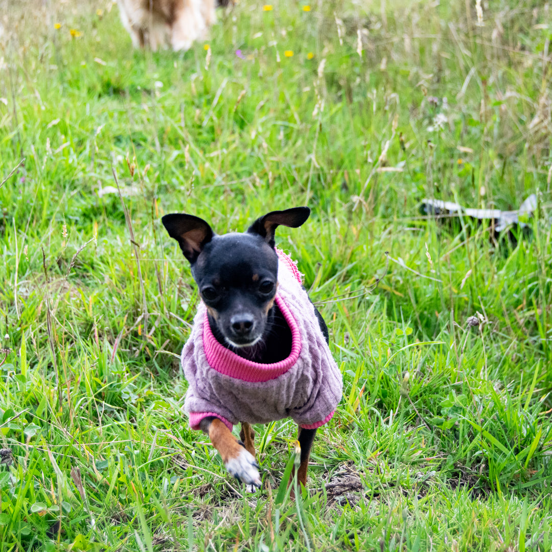 Saco-perros-pinky#color_palo-de-rosa