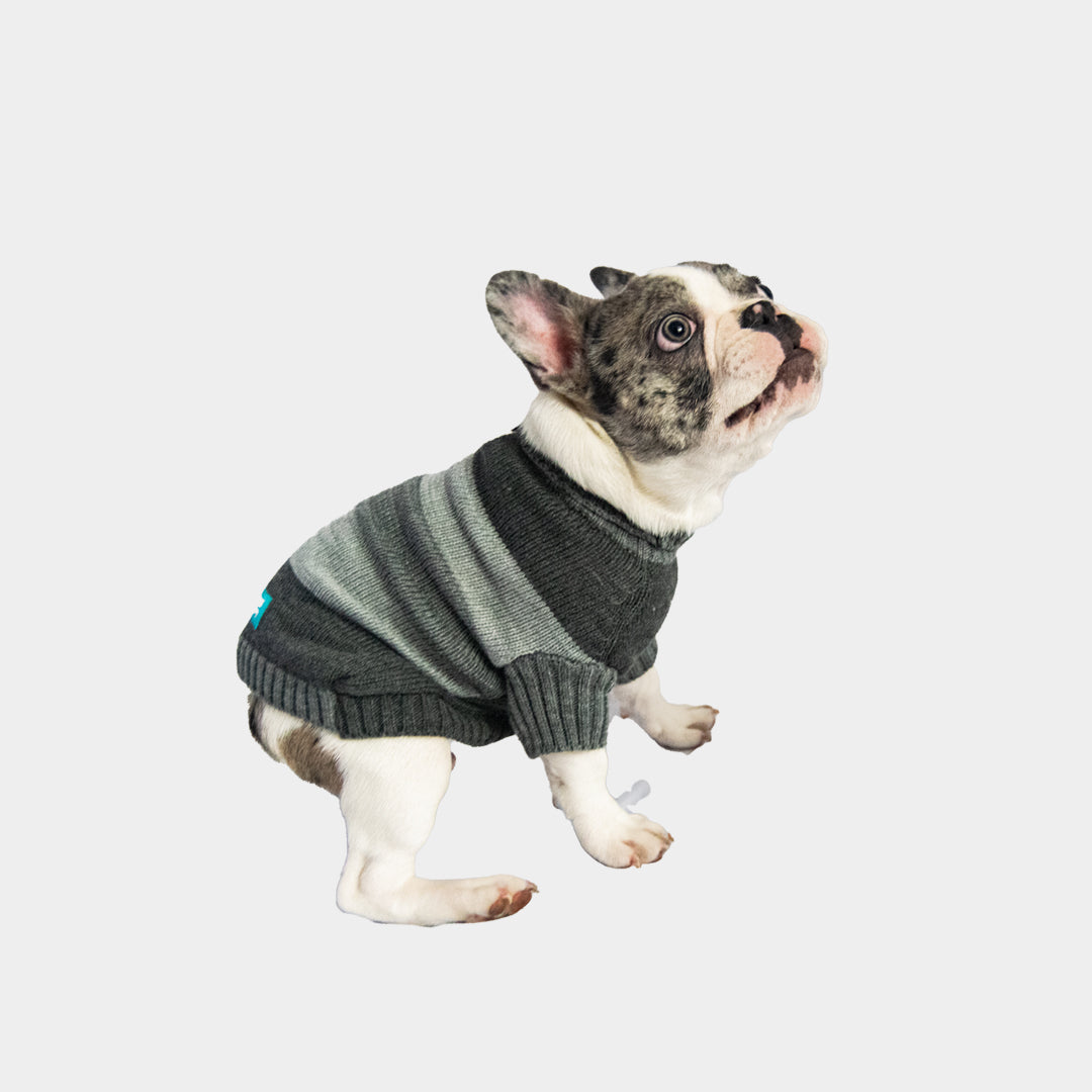 Saco-perros-t1#color_gris