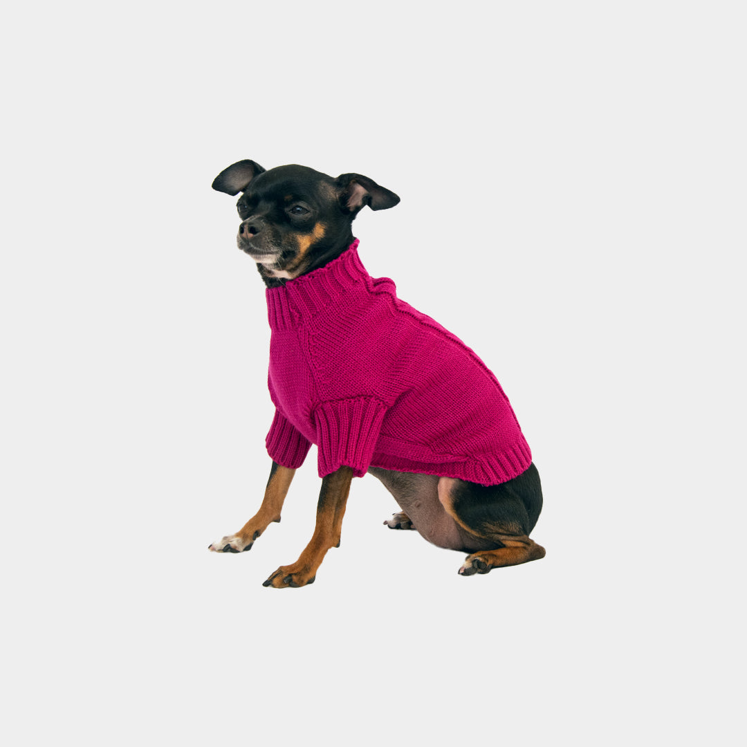 Saco-perros-t2#color_magenta