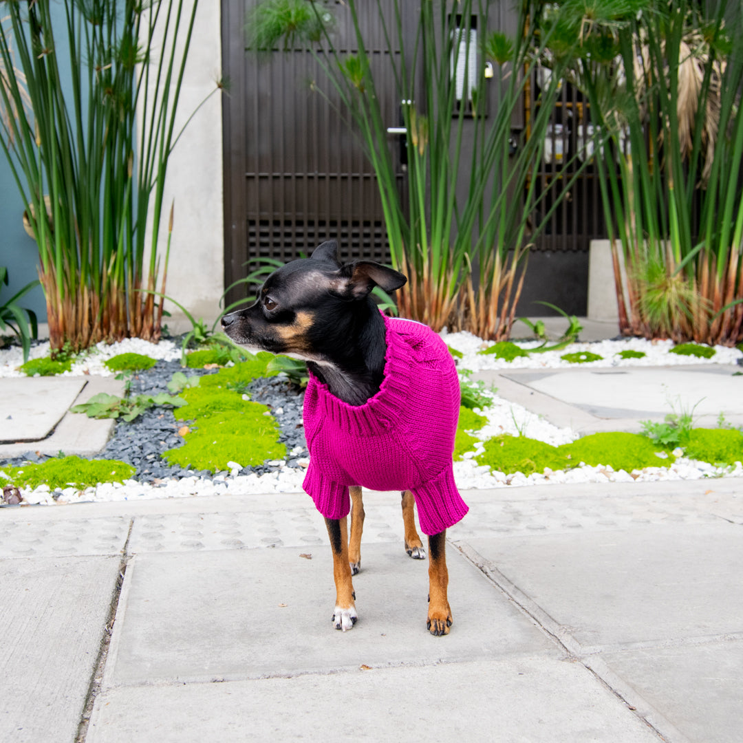 Saco-perros-t2#color_magenta