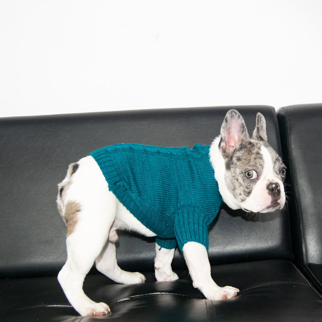Saco-perros-t3#color_azul