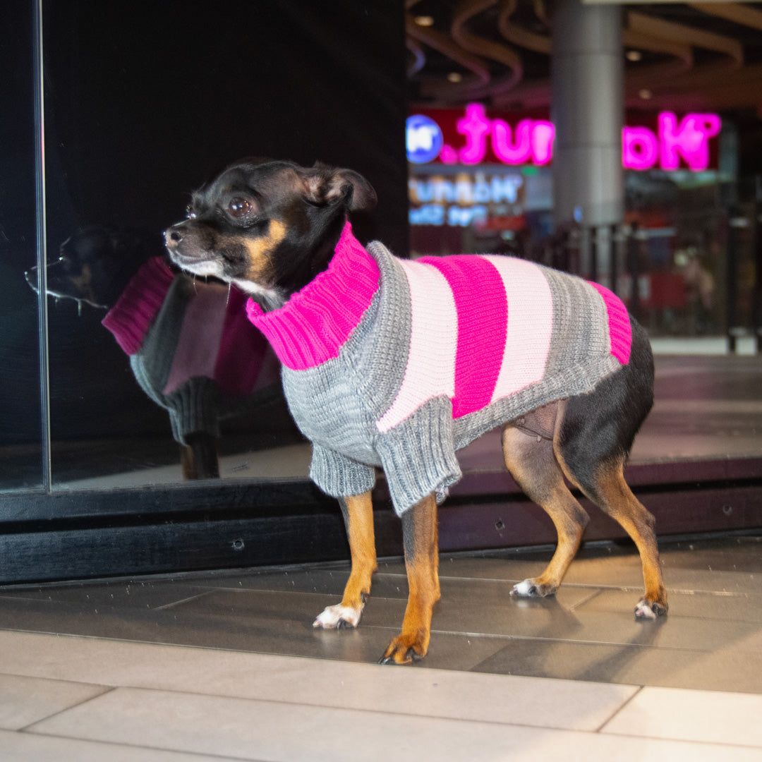 Saco-perros-t4#color_rosado-y-gris