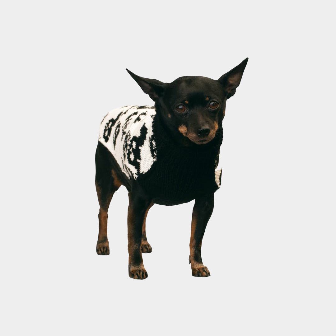 Suéter perros - Amigos calaveras