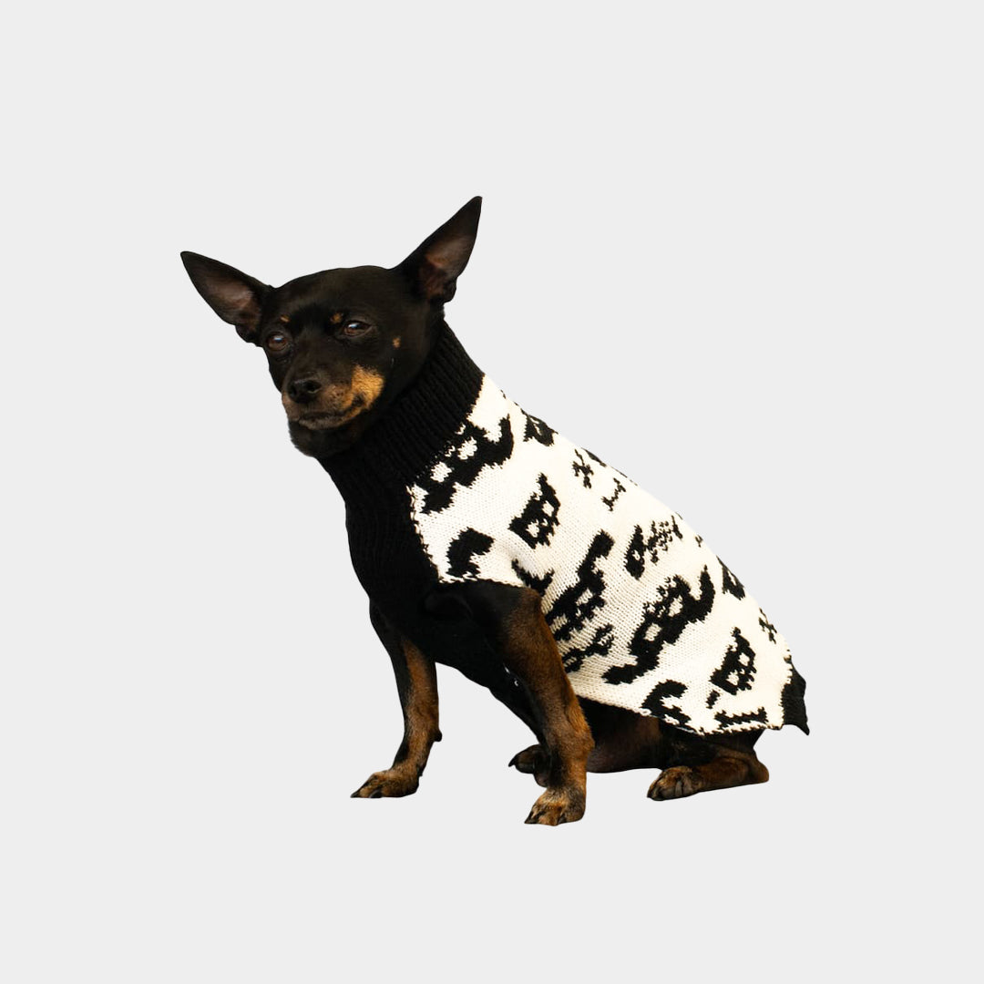 Suéter perros - Amigos calaveras