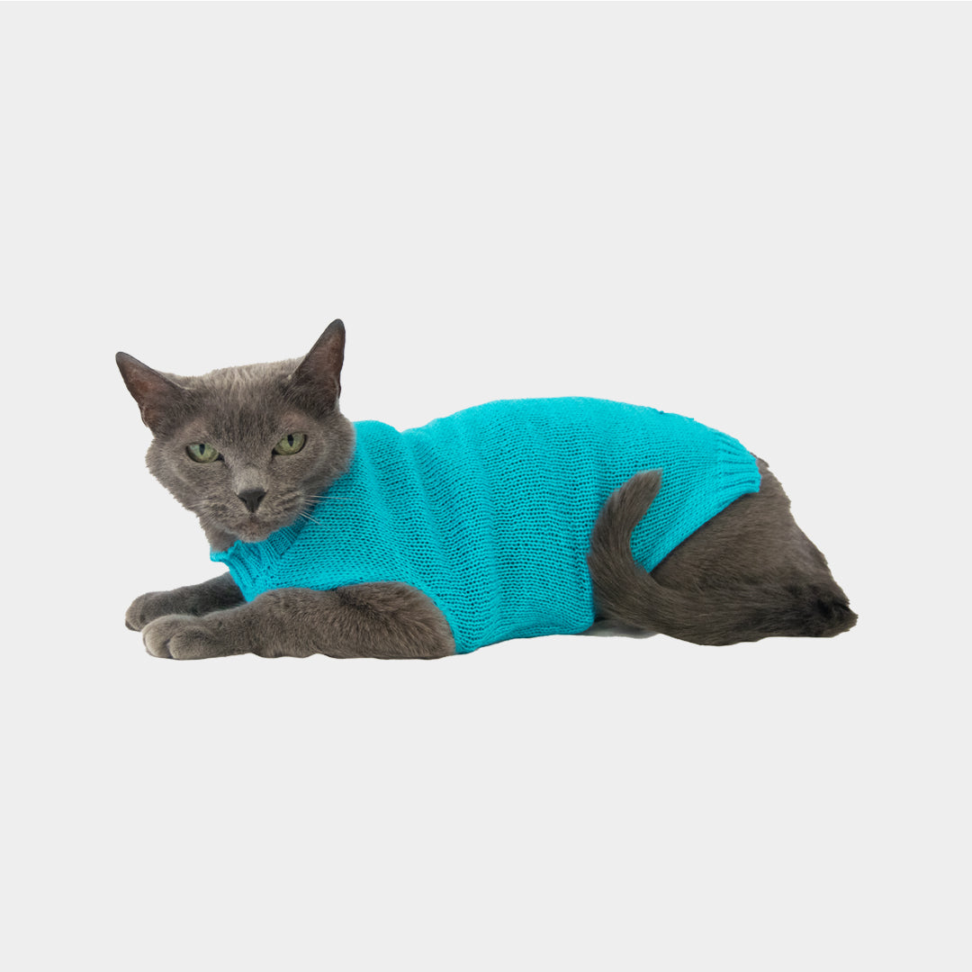 Sueter-gato-one#color_celeste