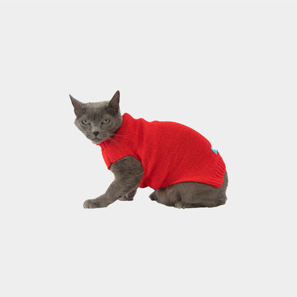 Sueter-gato-one