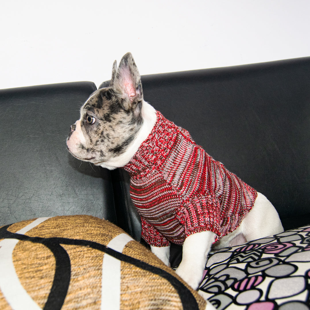 Sueter-perro-10D#color_rojo