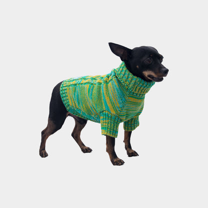 Sueter-perro-11D