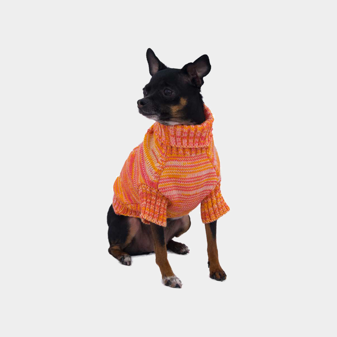 Sueter-perro-15D#color_naranja