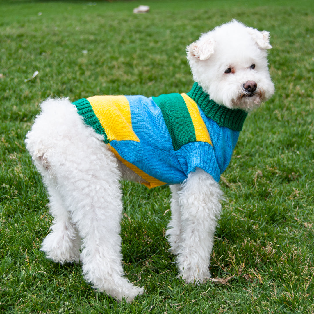 Sueter-perro-16D#color_amarillo-y-verde
