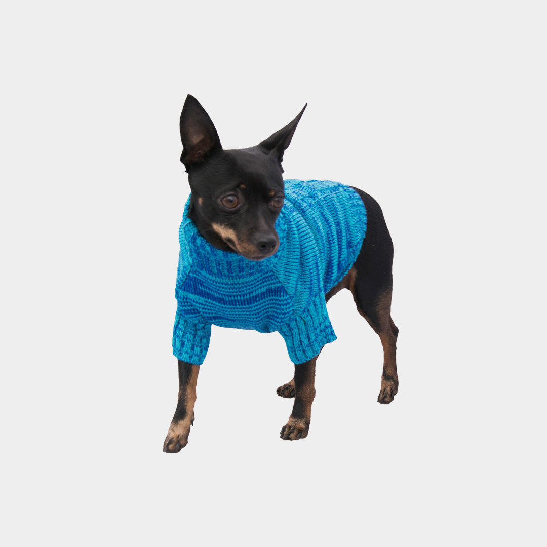 Sueter-perro-1D#color_azul