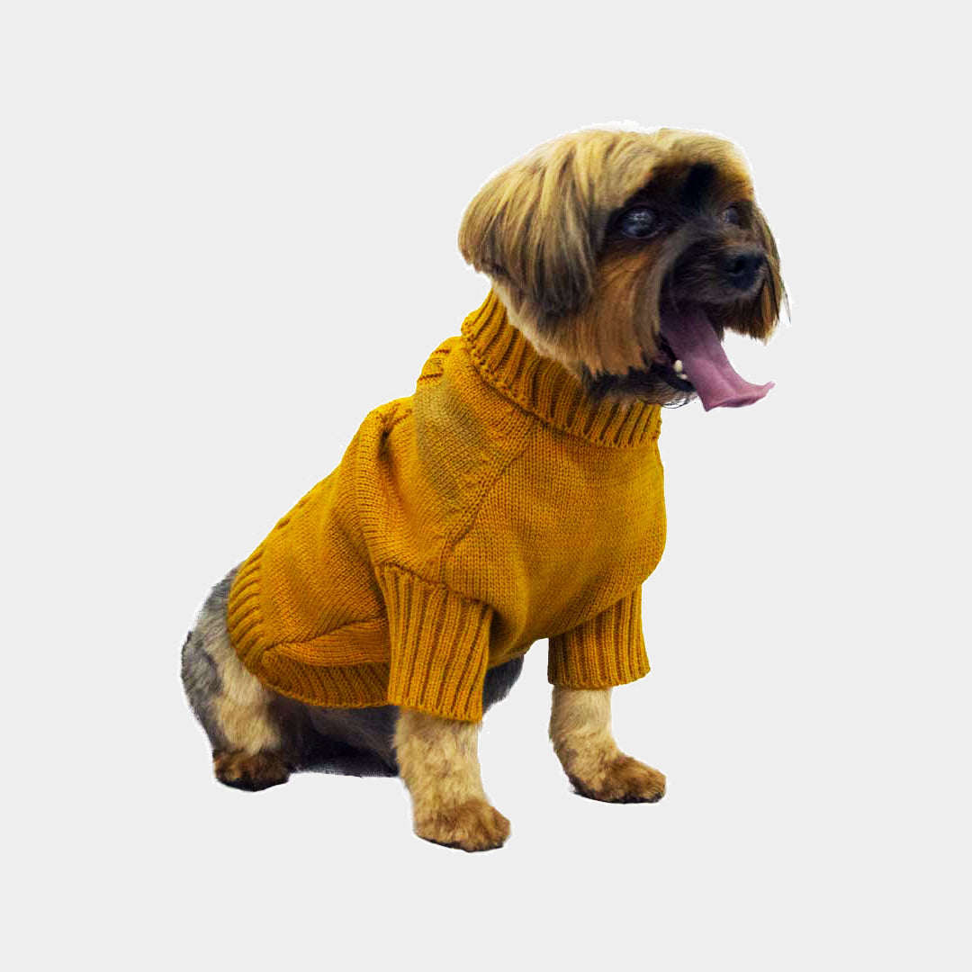 Sueter-perro-3D#color_amarillo