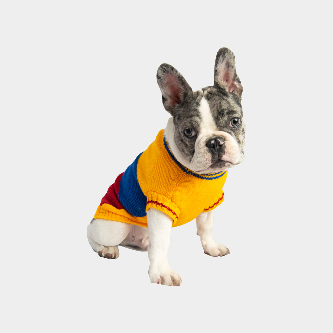 Sueter-perro-colombia#_color_colombia