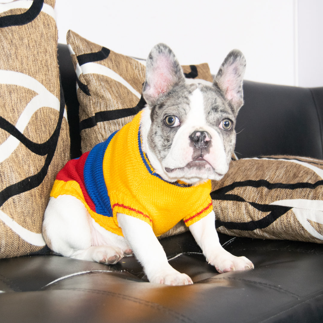 Sueter-perro-colombia#_color_colombia