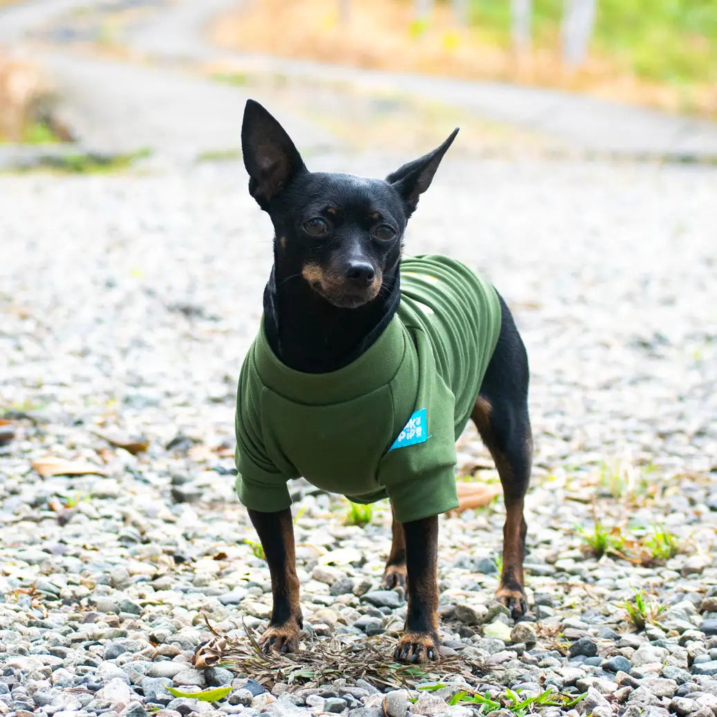 camiseta-para-chihuahua-05-chikopipo-home