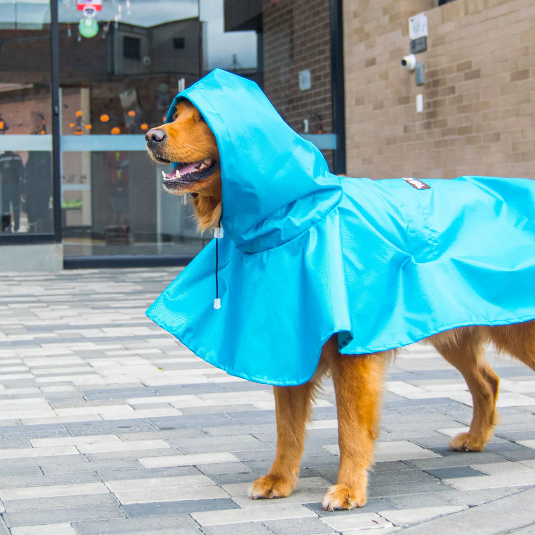 capa-impermeable-para-perros-grandes-05-chikopipo-home
