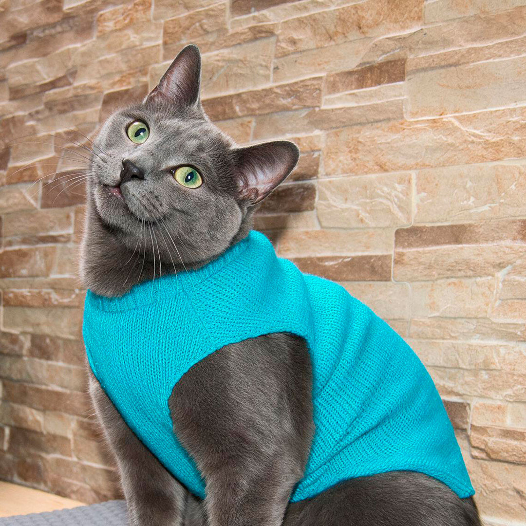 chaleco-de-lana-para-gato-05-chikopipo-home